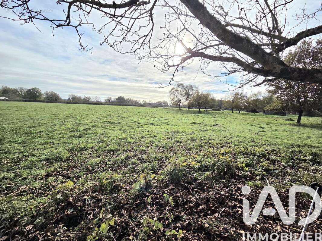 Photo 6 - Terrain à MONTMORILLON