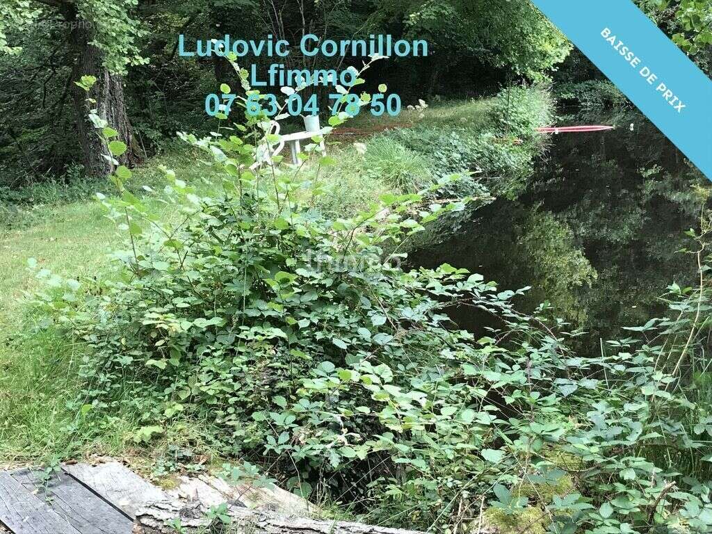 Maison à VICQ-SUR-BREUILH