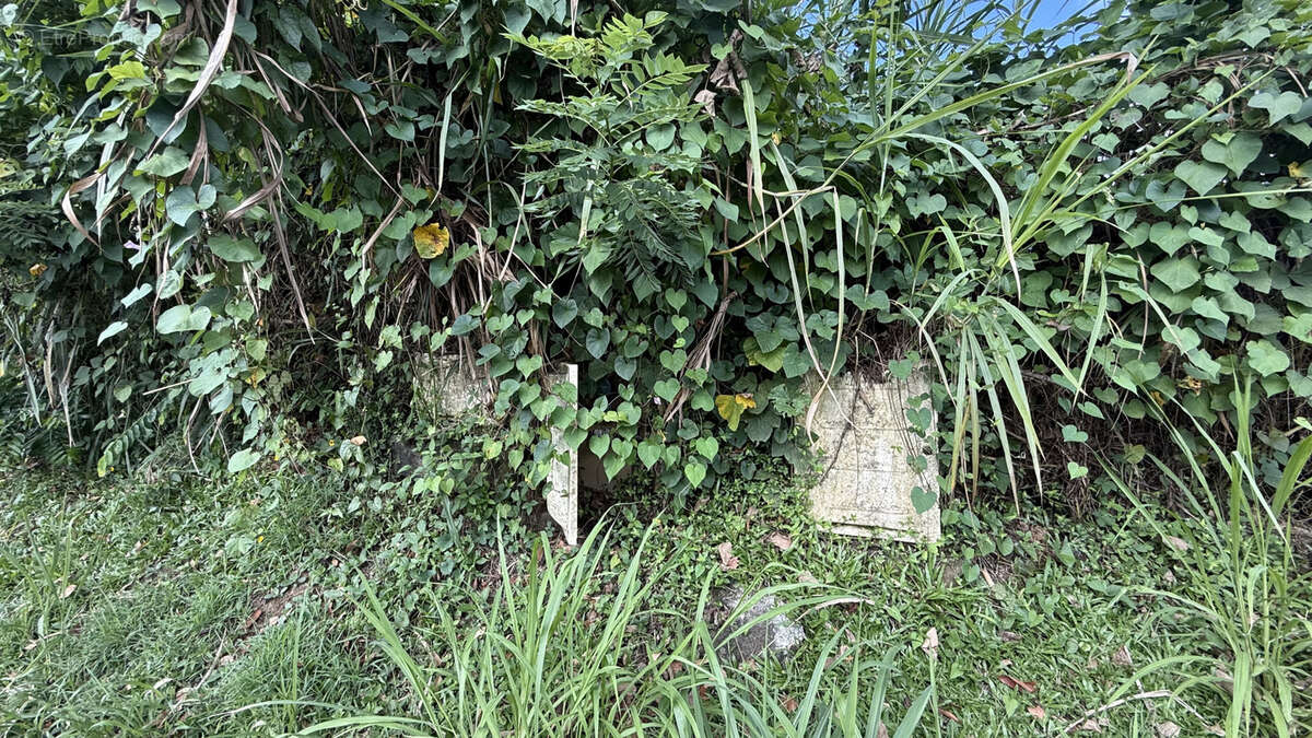 Terrain à SAINT-JOSEPH