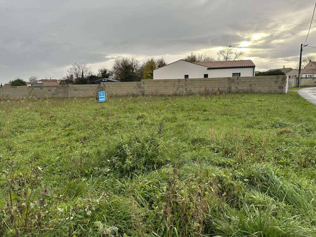 Terrain à LA CROIX-COMTESSE