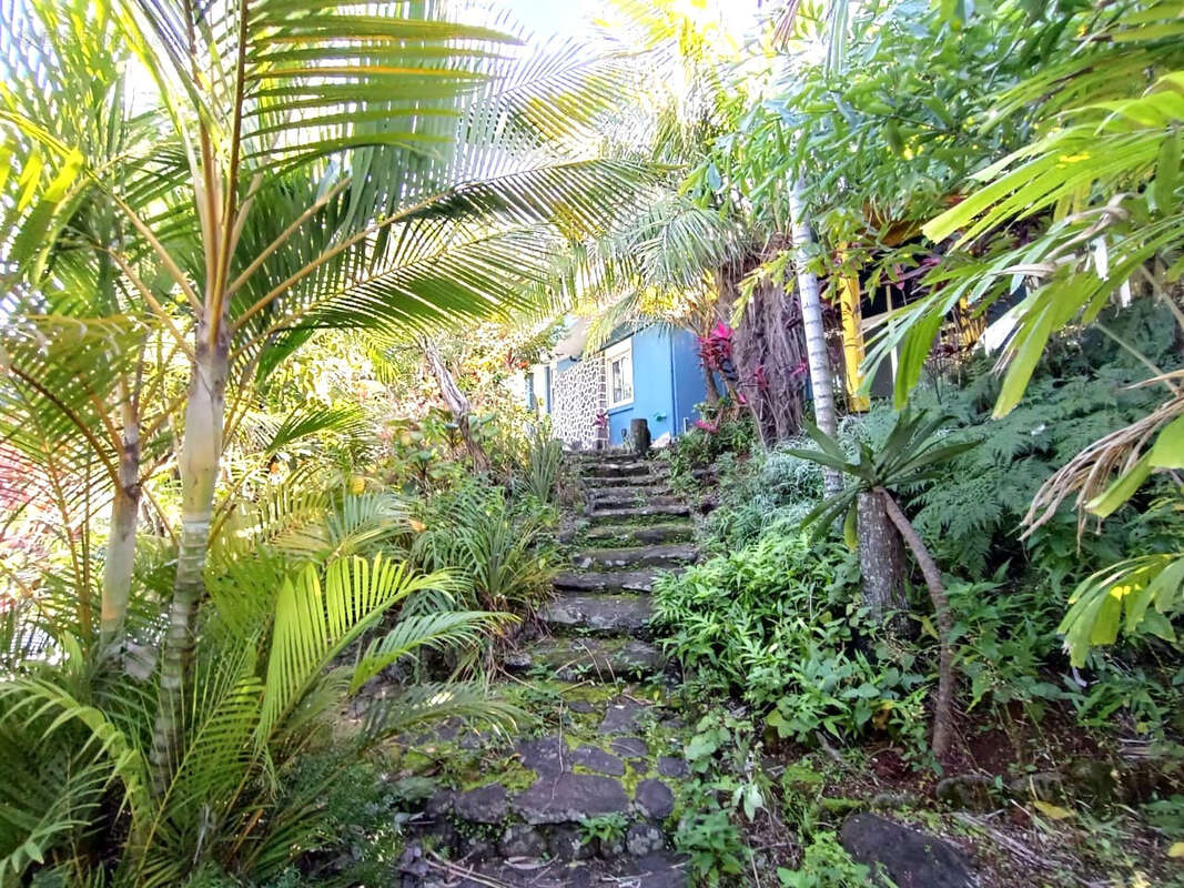 Maison à SAINT-JOSEPH