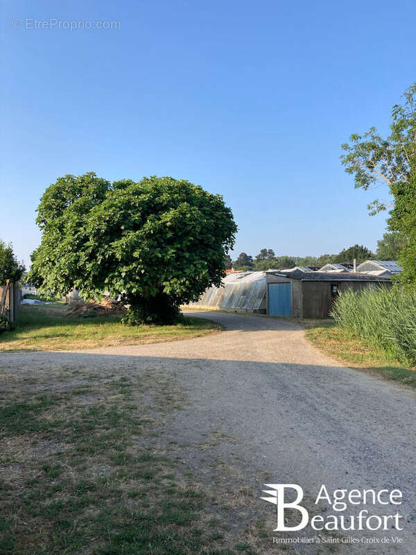 Ensemble agricole - Saint-Hilaire-de-Riez - photo 2