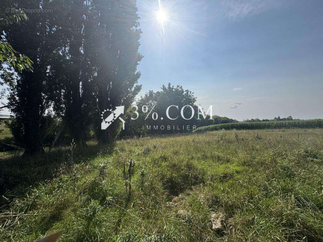 Terrain à TRUCHTERSHEIM