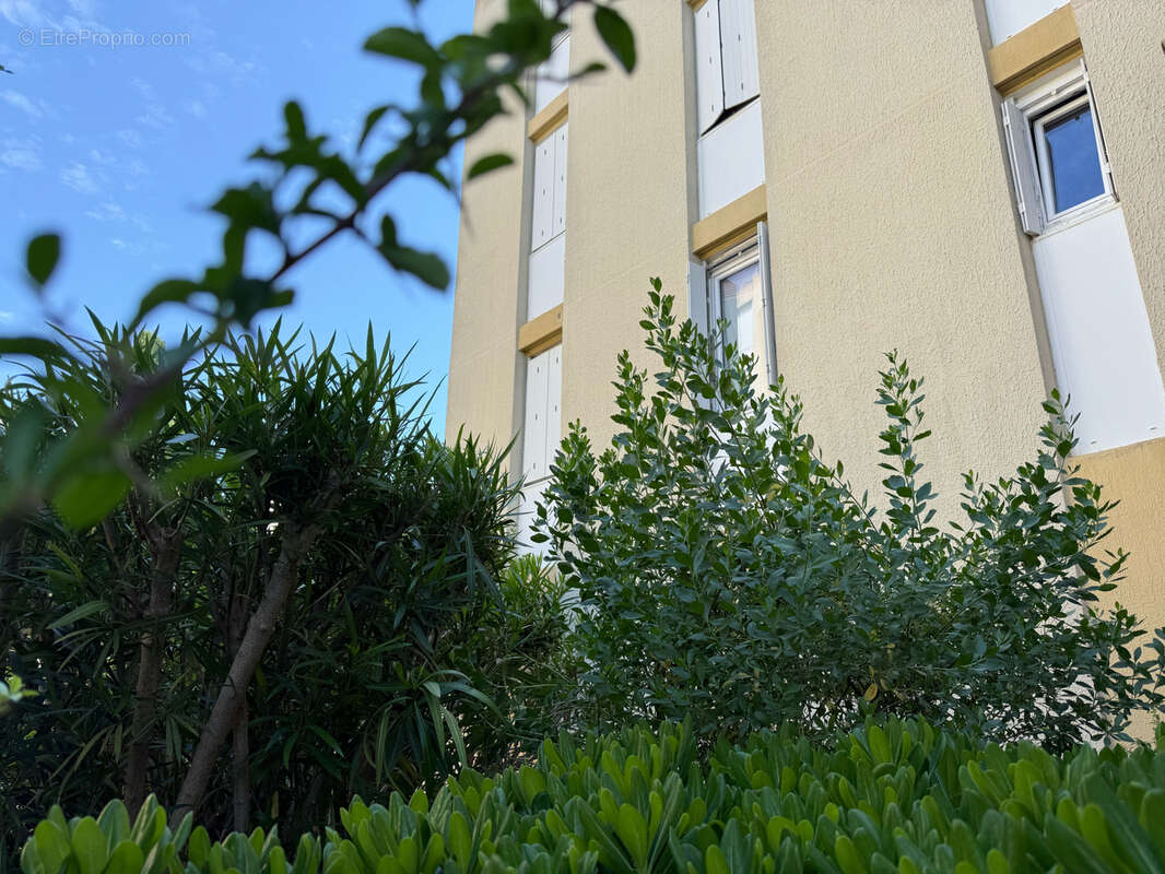 Appartement à LODEVE