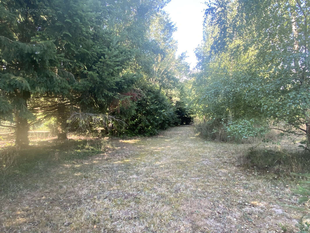 Maison à LAILLY-EN-VAL