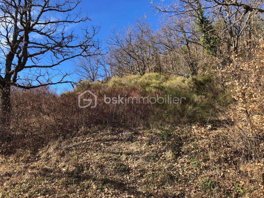 À Vendre - Terrain Constructible de 1 700 m² à Mujouls - photo 5