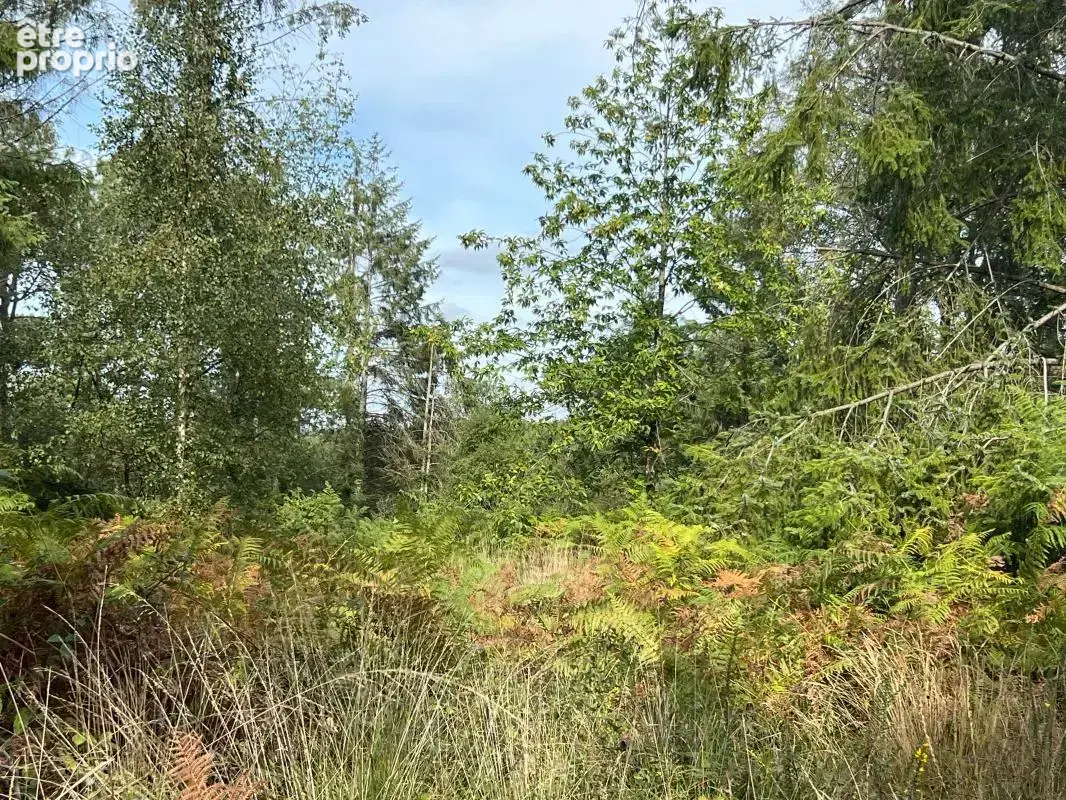 À vendre – argol – finistère – presqu’île de crozon-exceptionnel terrain de loisirs de 40 000 m² - photo 3