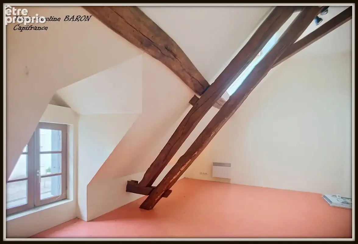Immeubles pour investissement  BUZANCAIS (36) - photo 14