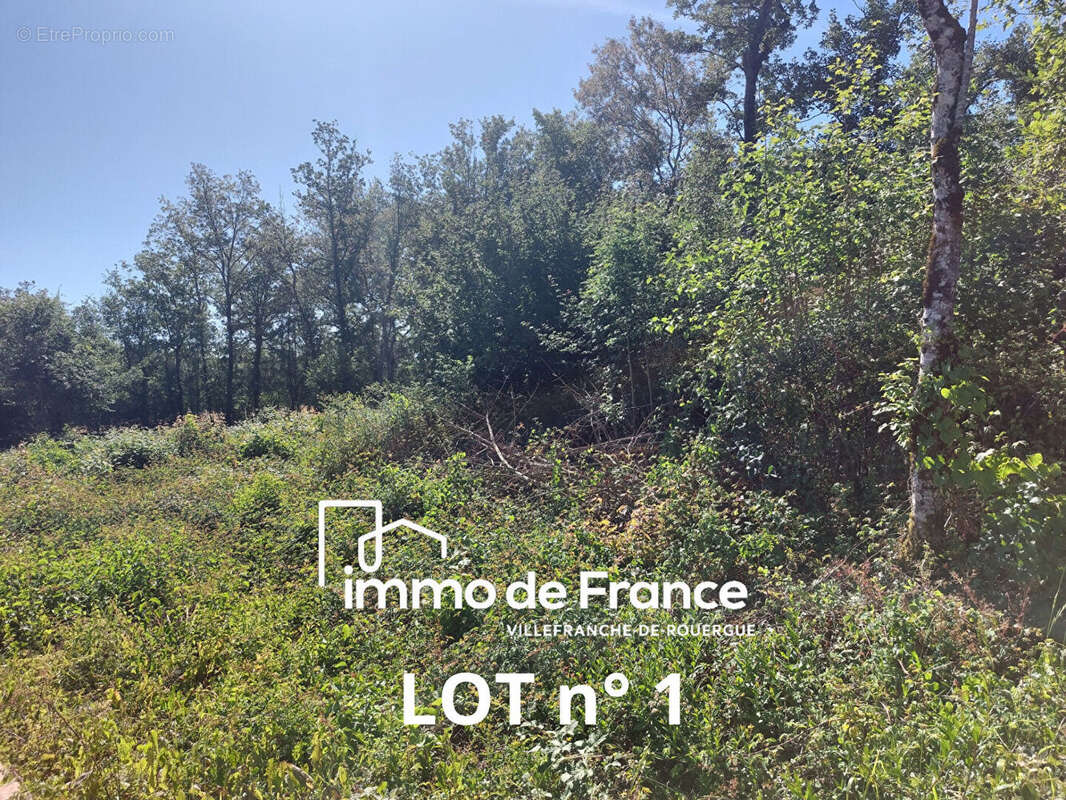 Lot de 3 terrains à batir - photo 3