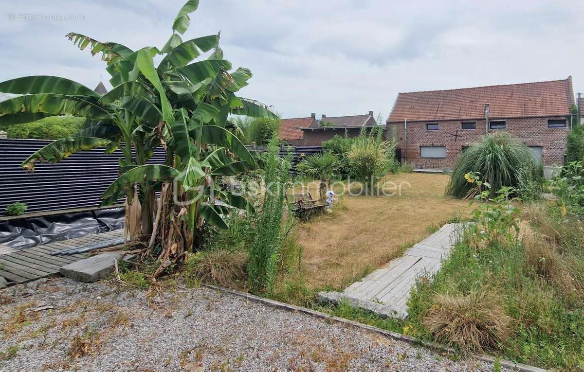 Maison 3 ch jardin - photo 7