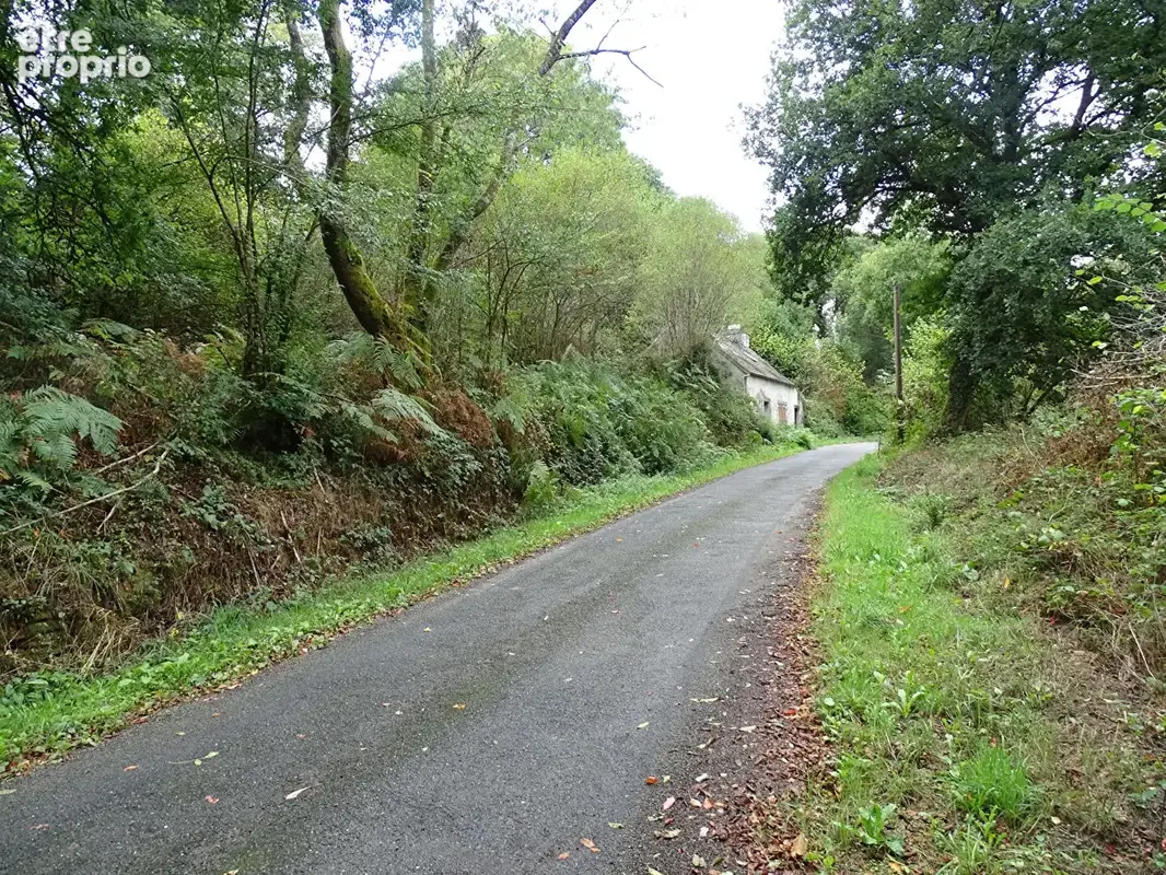 FINISTÈRE. Maison bretonne à rénover avec 8 367 m² de terrain - photo 6