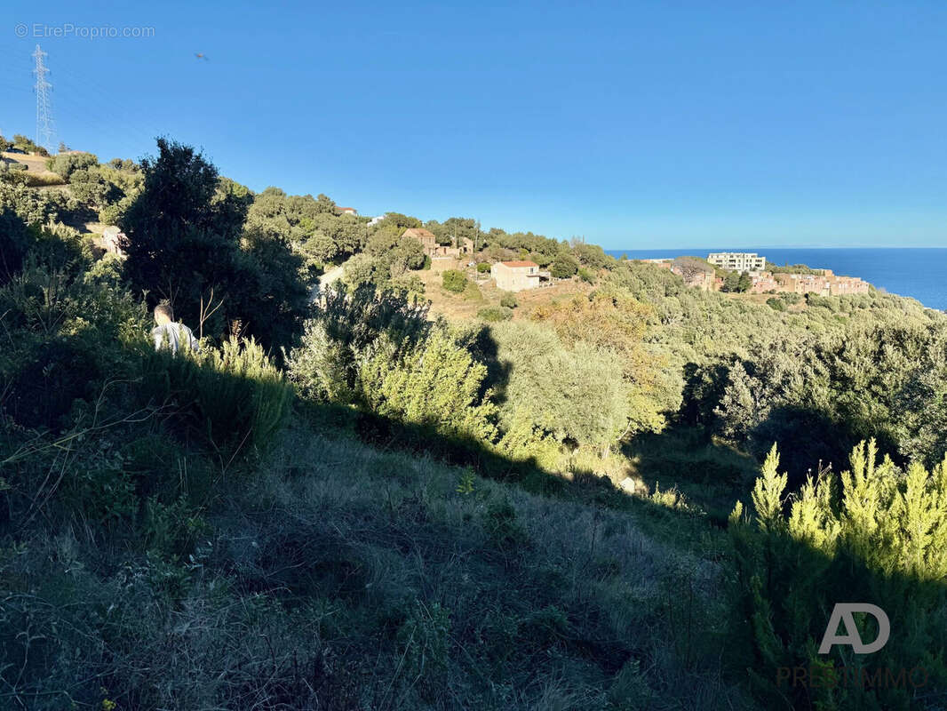 Terrain à SAN-MARTINO-DI-LOTA