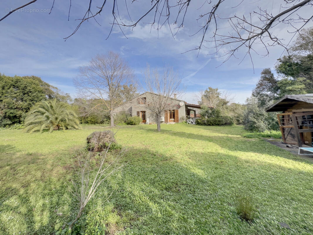 Maison à CANALE-DI-VERDE