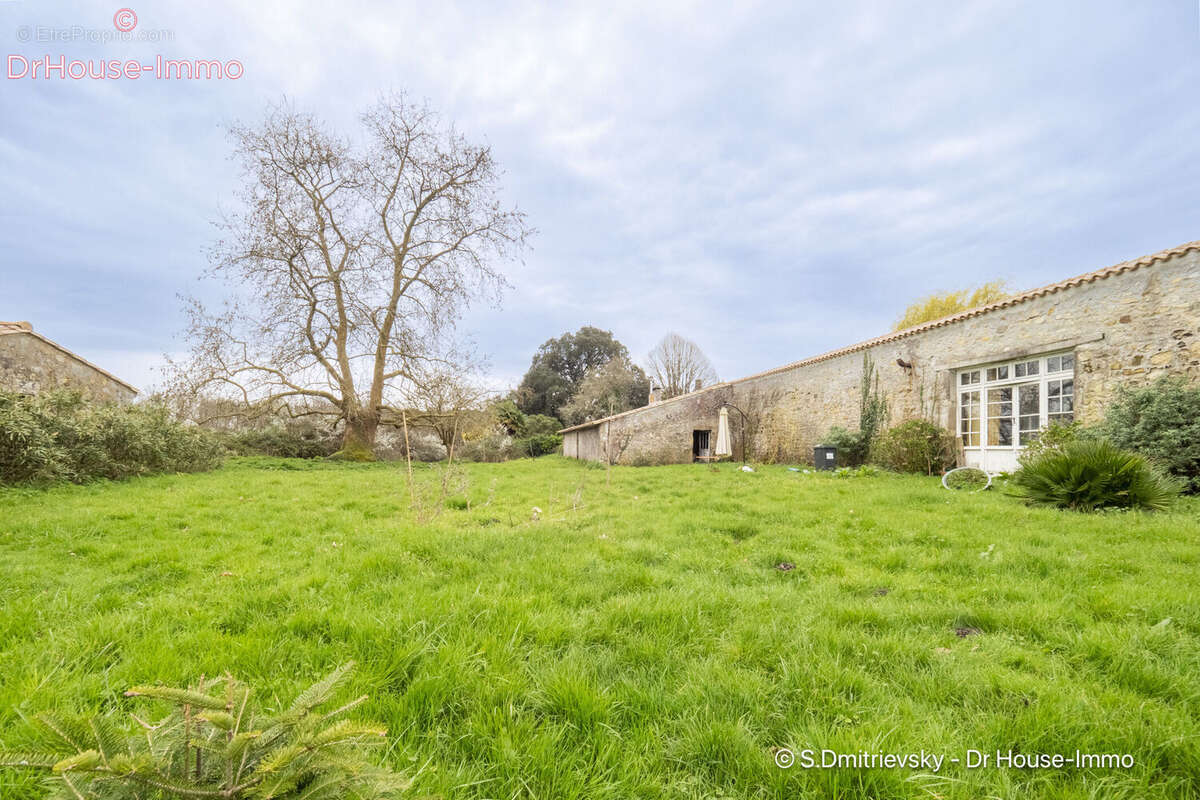 Maison 800 m² à Saint-Vivien-De-Medoc  - photo 3