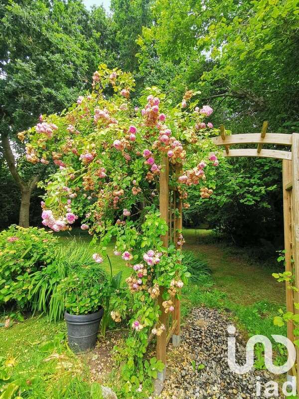 Photo 6 - Maison à PLOUEC-DU-TRIEUX