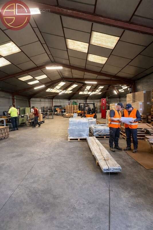 Commerce à PINS-JUSTARET