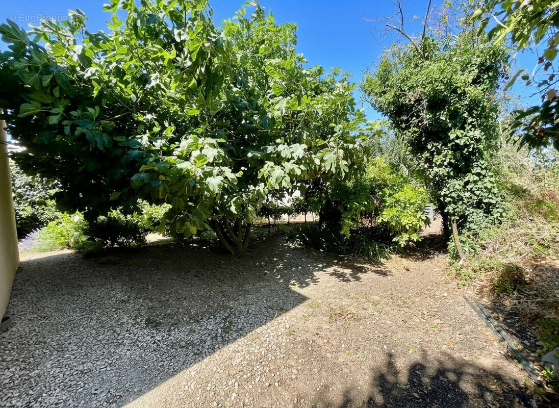 Vaison la romaine - villa recente avec terrain - photo 4