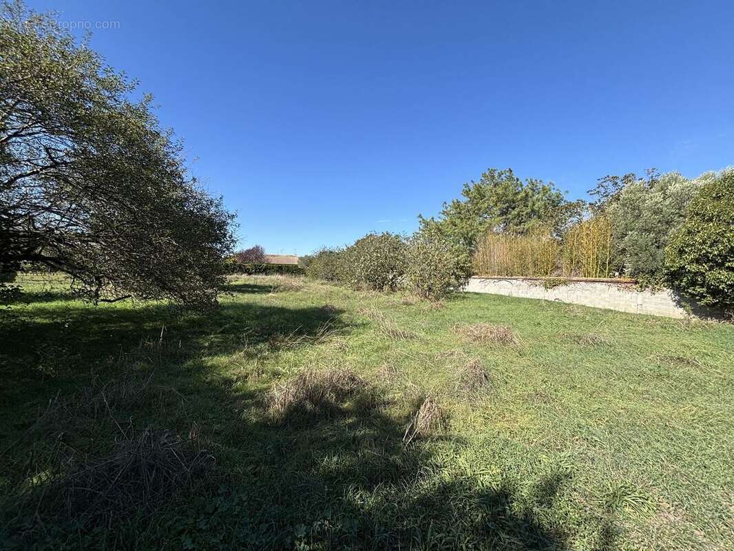Terrain à TOULOUSE