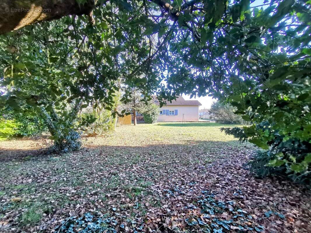 Photo 3 - Maison à LE PIAN-MEDOC