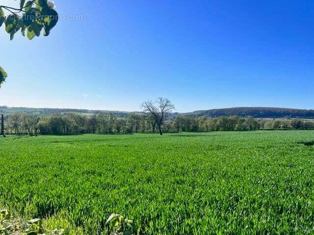 Terrain à MONTIGNY-AUX-AMOGNES