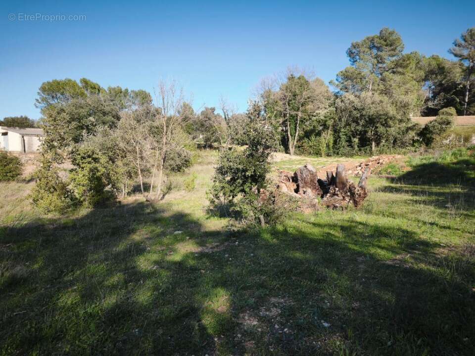 Terrain à FLASSANS-SUR-ISSOLE