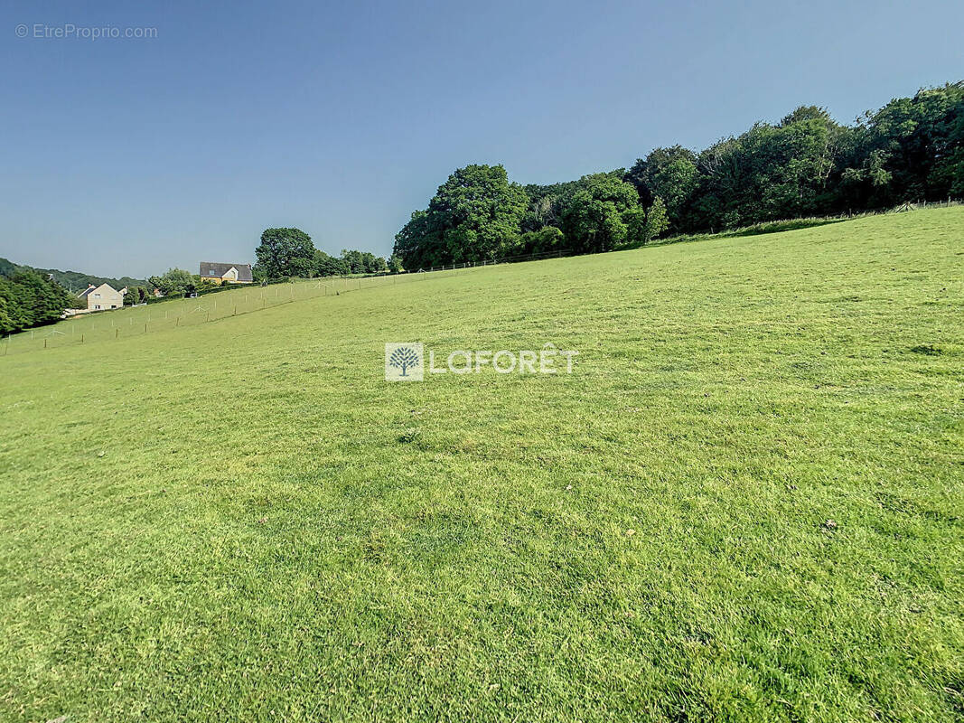 Terrain à BEC-DE-MORTAGNE
