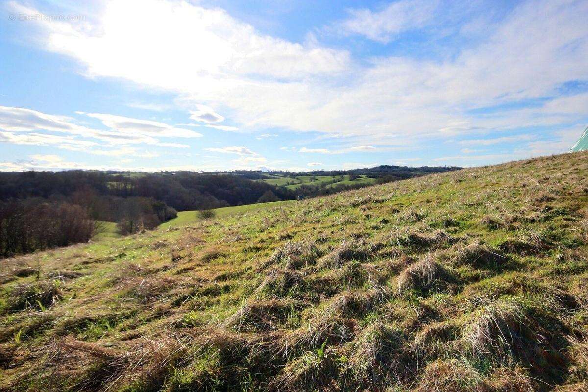 Terrain à OZENX-MONTESTRUCQ