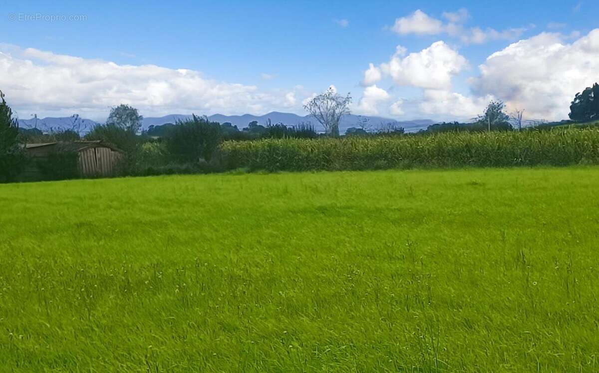 Terrain constructible 11000 m2 - photo 10