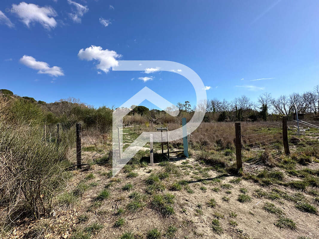 Terrain à ILLE-SUR-TET