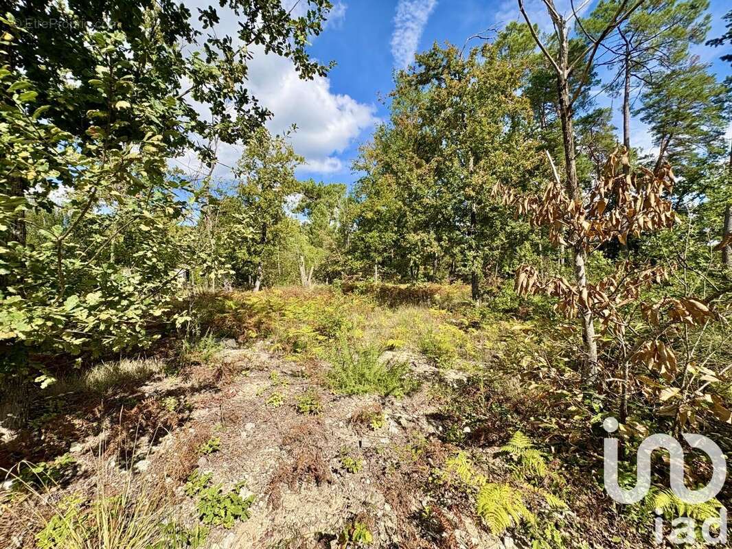 Photo 8 - Terrain à MARSAC-SUR-L'ISLE