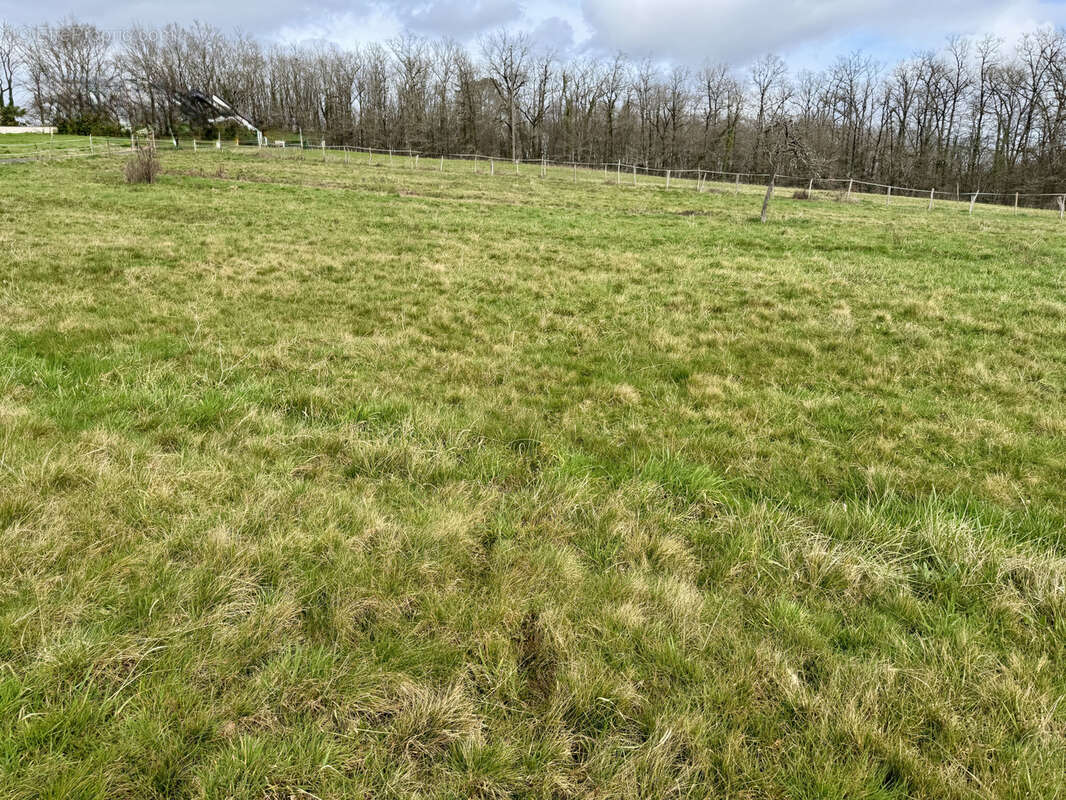 Terrain à SAINT-VIANCE