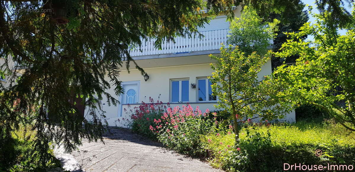 Maison à BERGHOLTZZELL