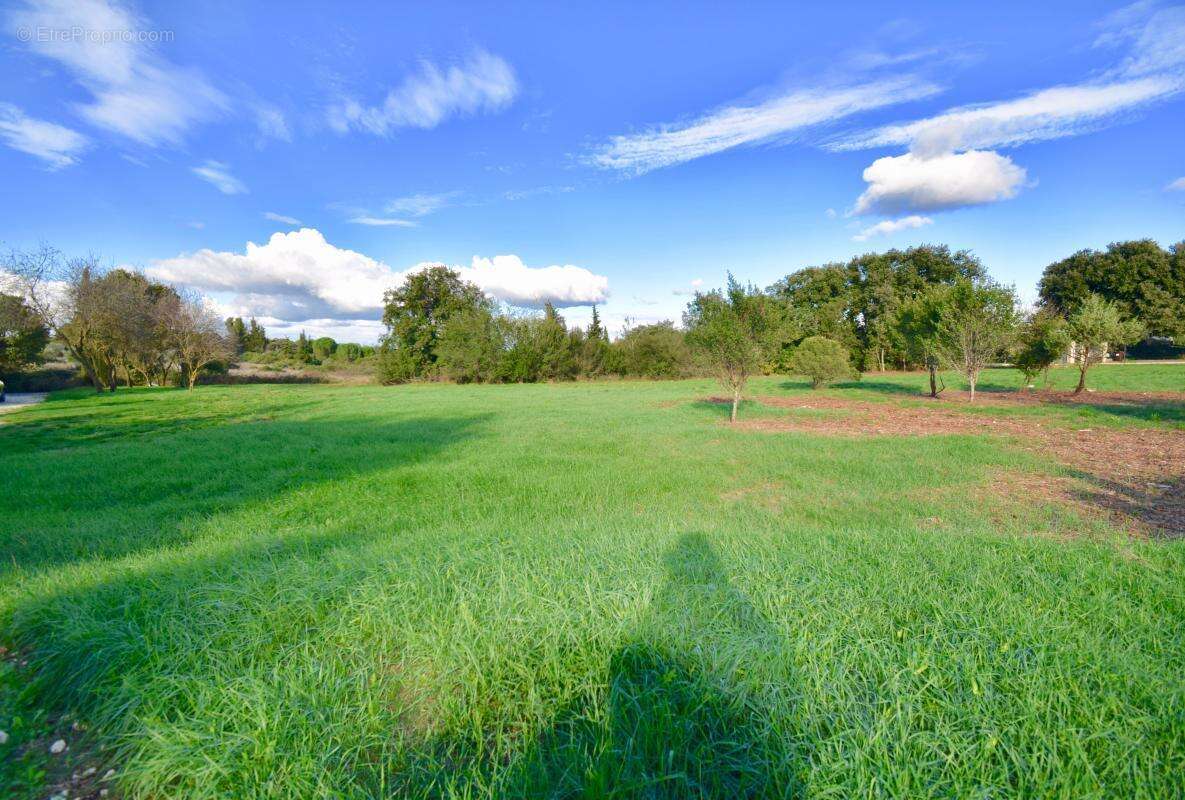 Terrain à POUZILHAC