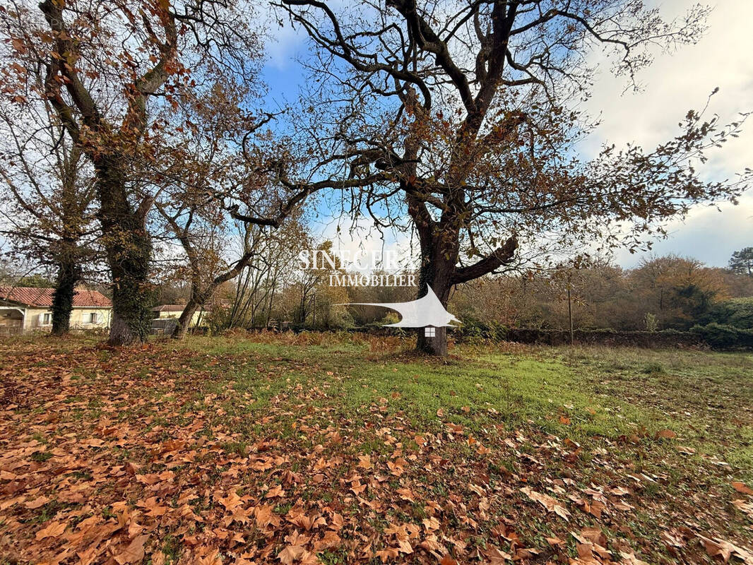 Terrain à UCHACQ-ET-PARENTIS
