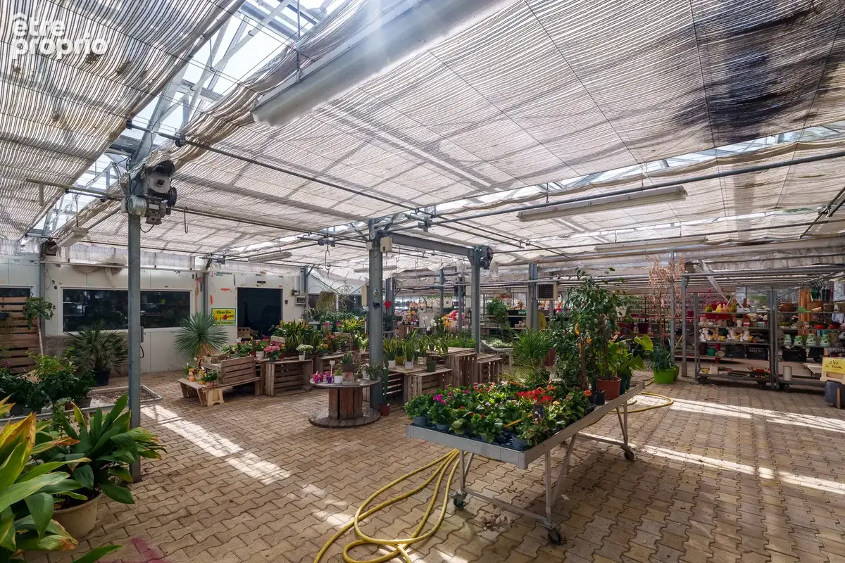 Ensemble horticole en zone UX (hors fonds de commerce)   Un site professionnel à fort potentiel   Montchanin - photo 3