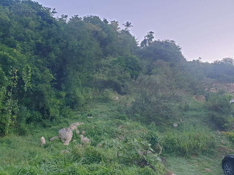 Terrain à LE GOSIER