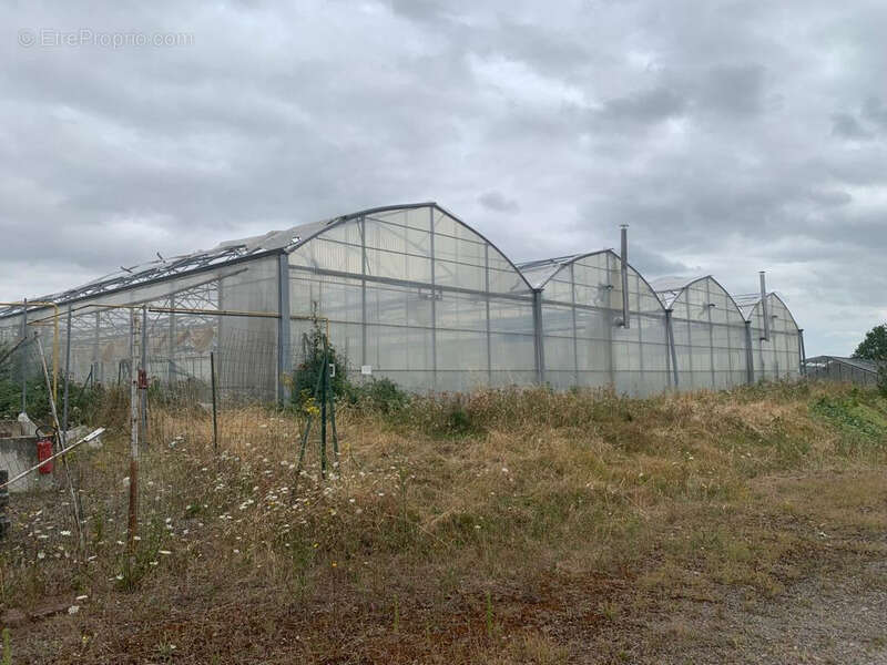 Terrain à SAINT-JEAN-DES-MAUVRETS