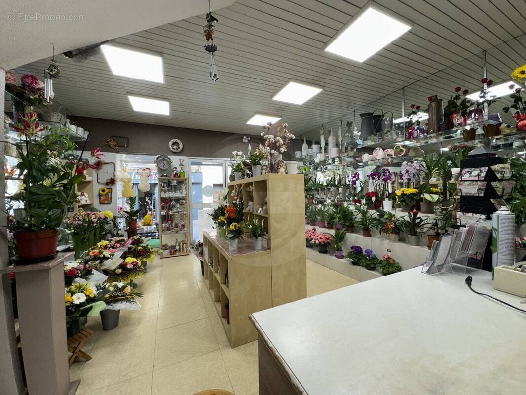 Maison à FRONTIGNAN