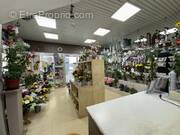 Maison à FRONTIGNAN