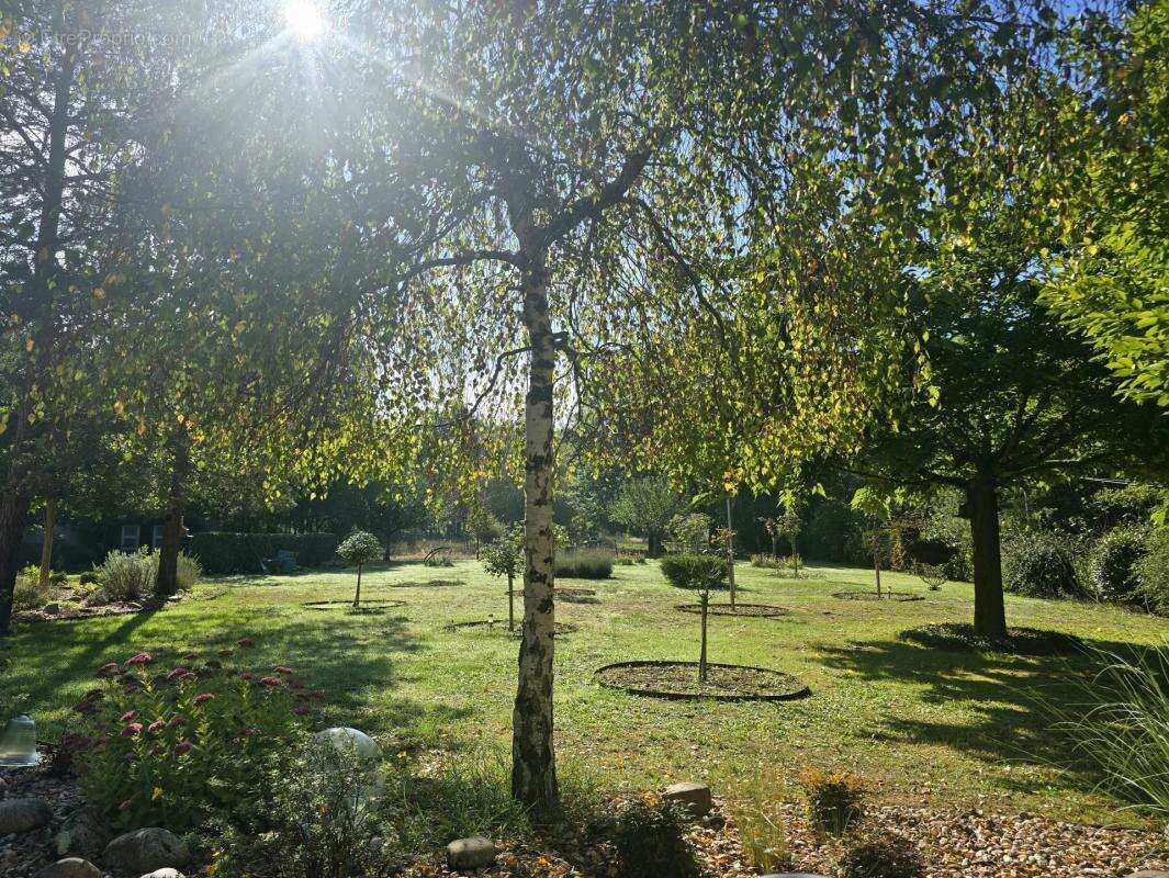 Maison à BOURG-DU-BOST