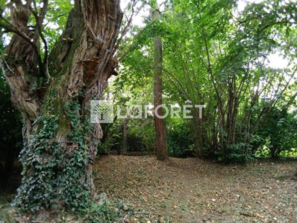 Maison à SOISY-SUR-SEINE