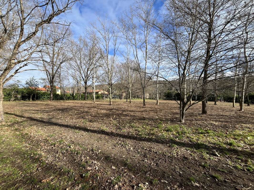 Terrain à MONTESQUIEU-VOLVESTRE