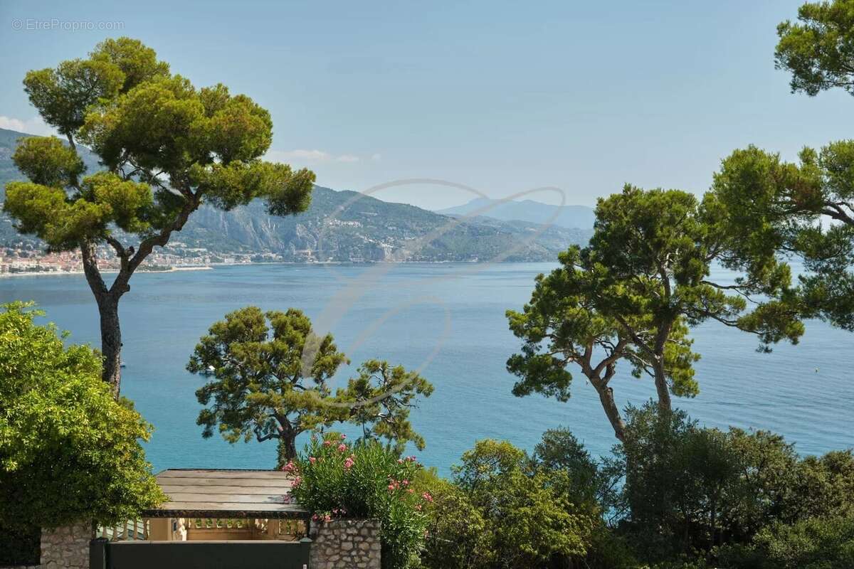 Cap martin - luxueuse villa - photo 2