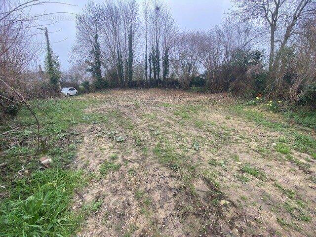 Terrain à MEZIDON-CANON