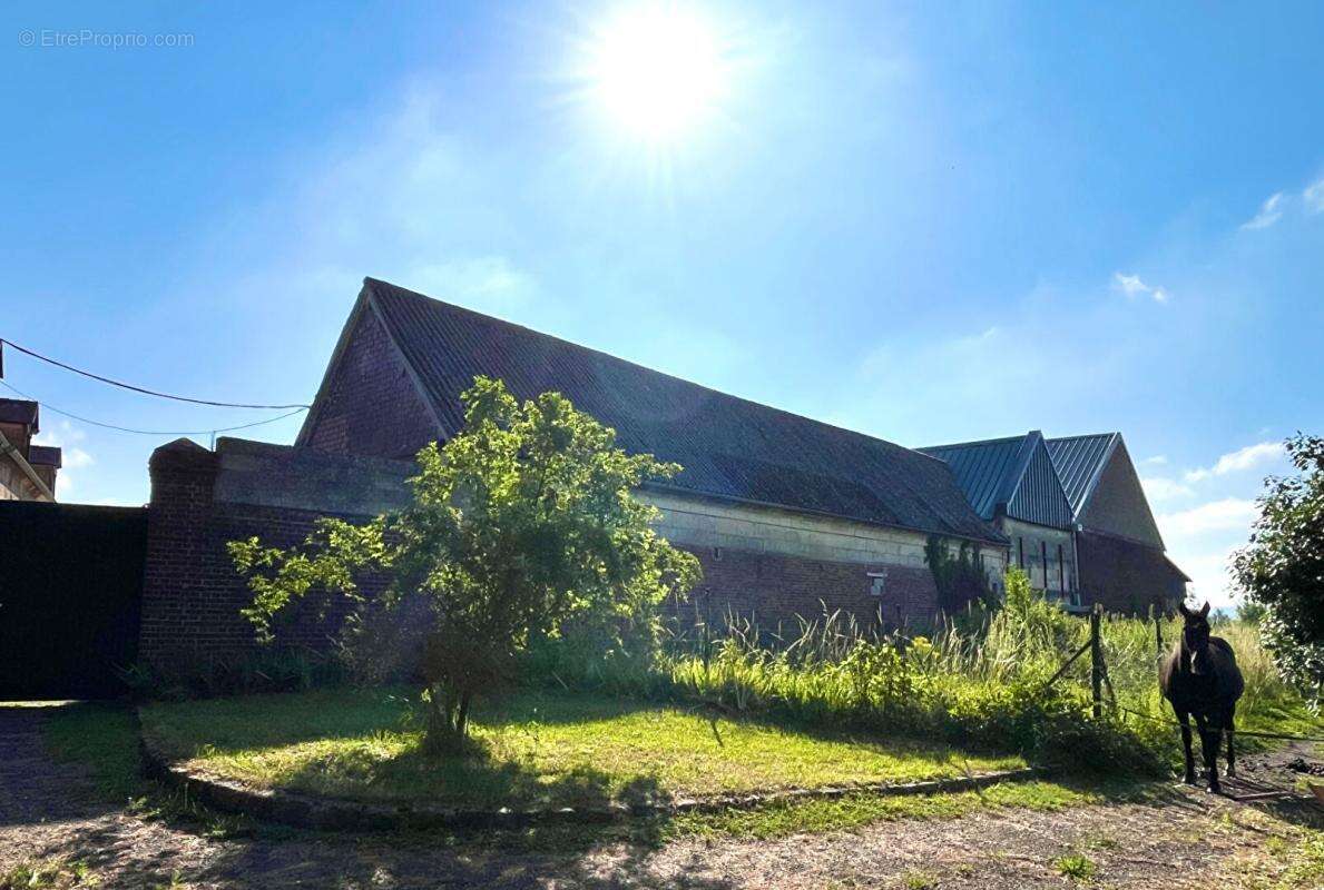 Corps de ferme Complet  avec dépendances et Box : 7 pièce(s) 174 m2 - photo 3