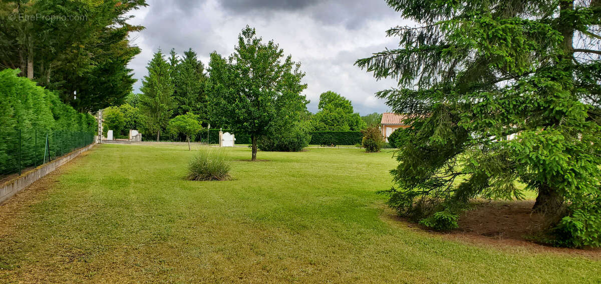 Terrain à GAILLAC