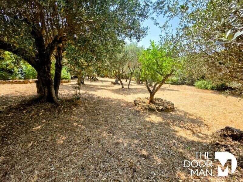 Maison à SANARY-SUR-MER