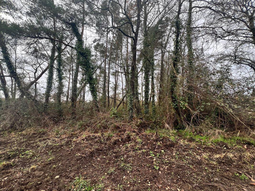 Terrain à ROMORANTIN-LANTHENAY