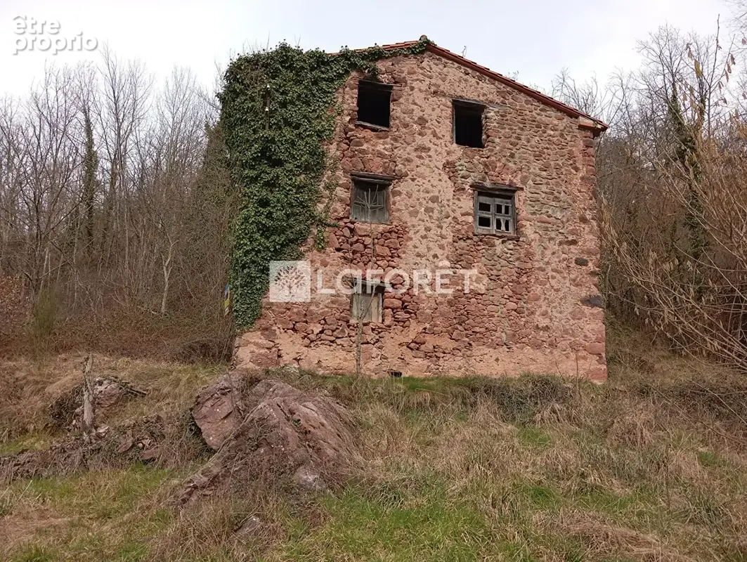 Ruine 76m²/4110m² - Lamanère - photo 7