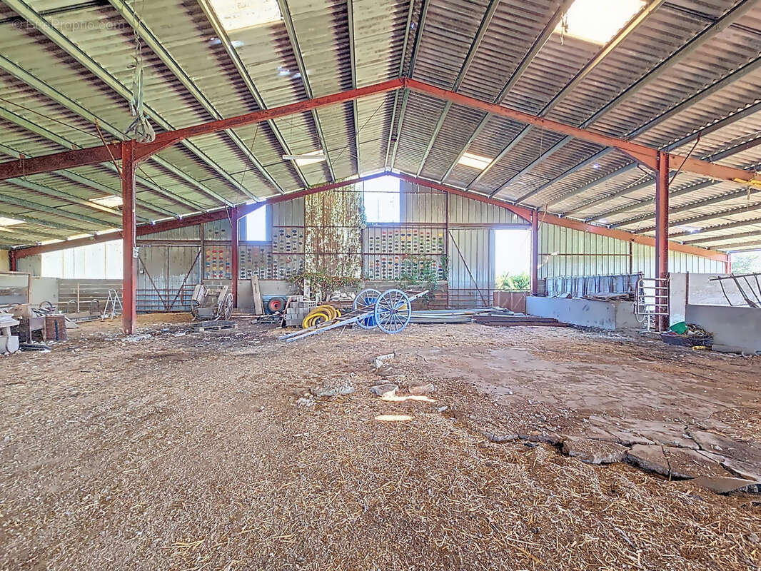 Propriété agricole avec maisons, dépendances, prairies et terres agricoles   Cher (18), proche Champagne berrichonne - photo 6
